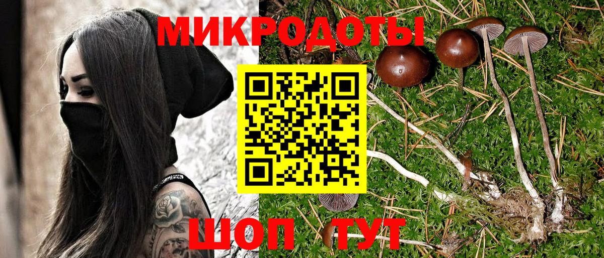 Галлюциногенные грибы мухоморы Дедовск