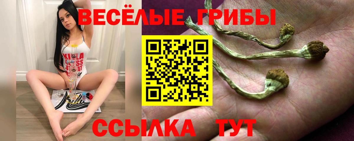 Псилоцибиновые грибы мухоморы  Вход с VPN  сколько стоит  Псилоцибиновые грибы GOLDEN TEACHER  Дедовск 